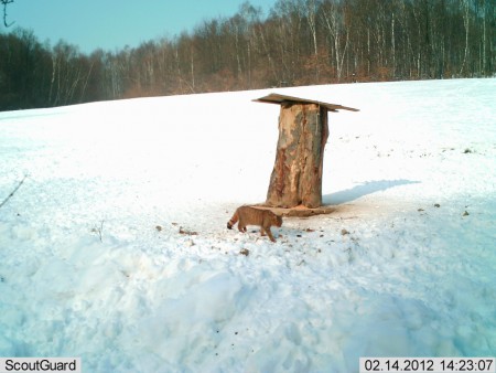 Ing. Štefan Drozd ml.