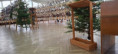 /album/fotogaleria-chpt-2025-2026/20260320-123415-jpg/