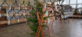 /album/fotogaleria-chpt-2025-2026/20260320-123933-jpg/