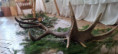 /album/fotogaleria-chpt-2025-2026/20260320-124429-jpg/